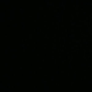 Meet your Posher, Ingrid